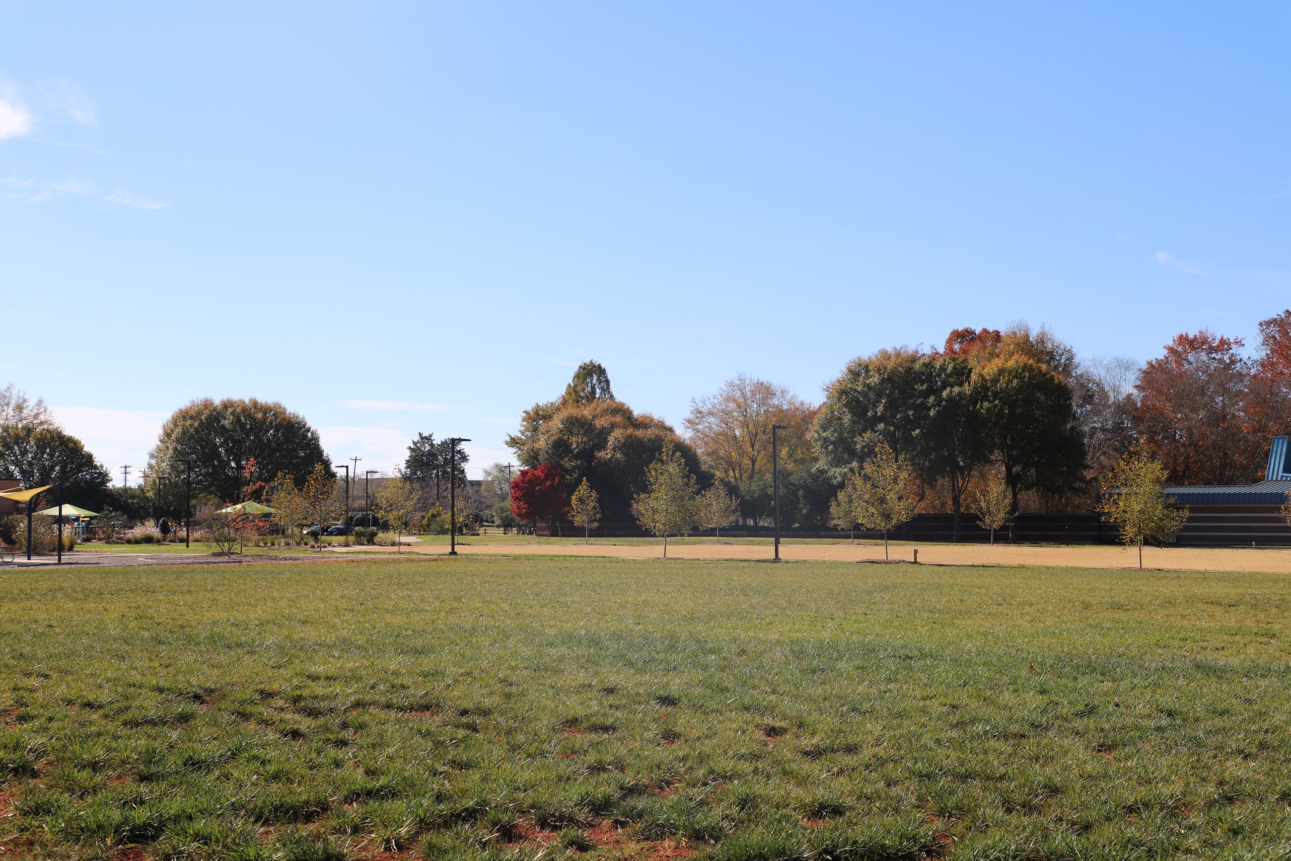 civic green with trees in background